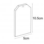 10.5 x 5cm blank gift tag