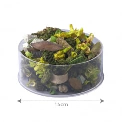 15cm circular tray   (acrylic trays & tubs)